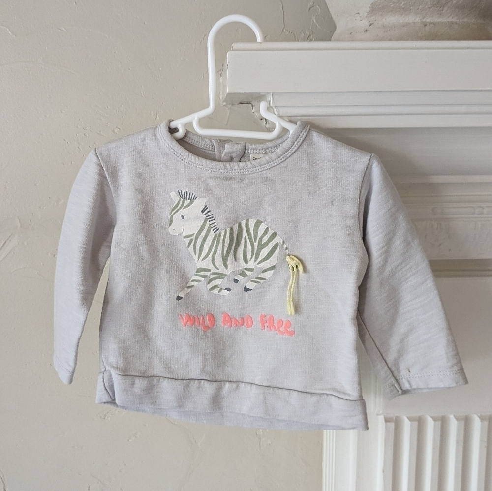 Zara | Zebra Wild and Free Sweater